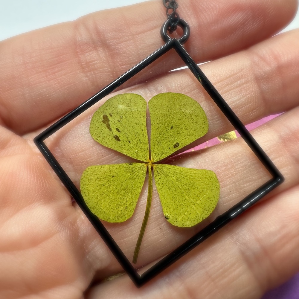Various Real Pressed Large Four Leaf Clover Handmade Necklaces and Earrings